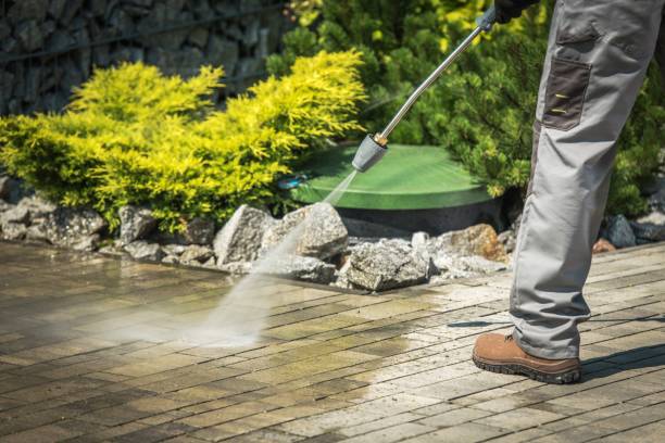 Boat and Dock Cleaning in Campo, CA