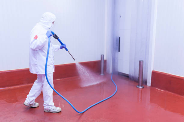 Best Spring Cleaning  in Mpo, CA